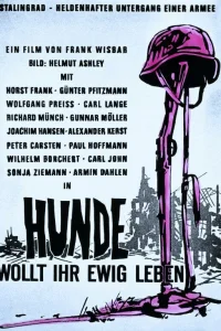 Собаки, хотите жить вечно?